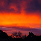 Sonnenaufgang über Bonn