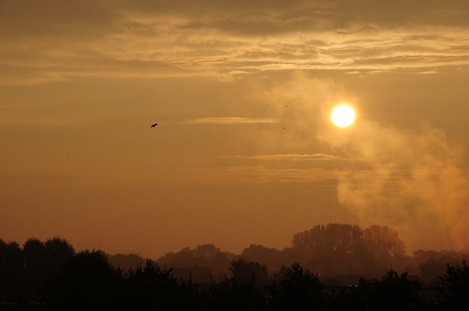 Sonnenaufgang über Bremen