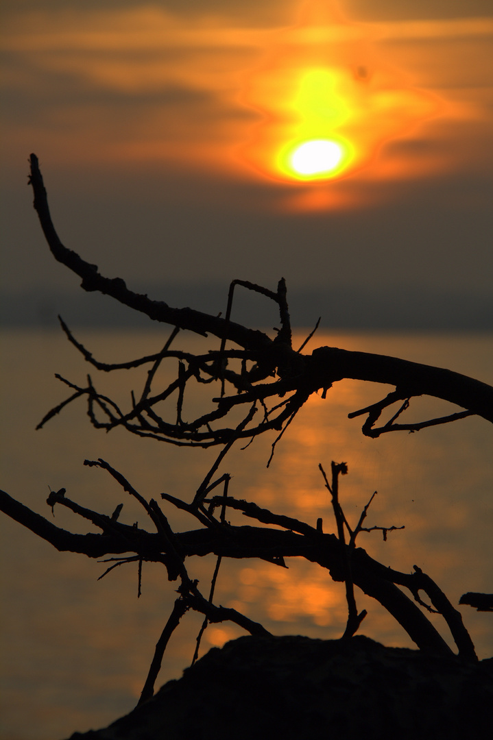 Sonnenaufgang über Dänemark