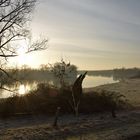 Sonnenaufgang über dem Altrhein