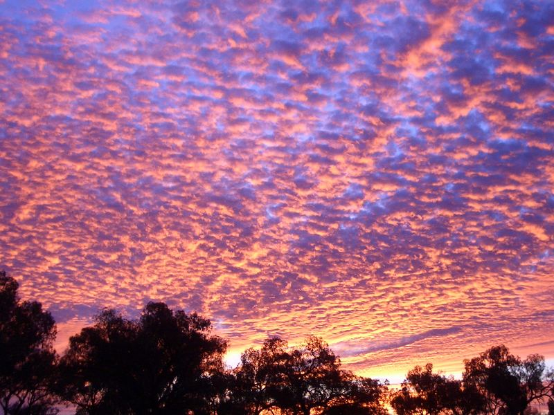 Sonnenaufgang über dem australischen Outback