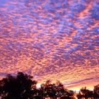 Sonnenaufgang über dem australischen Outback