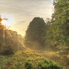 Sonnenaufgang über dem Biotop