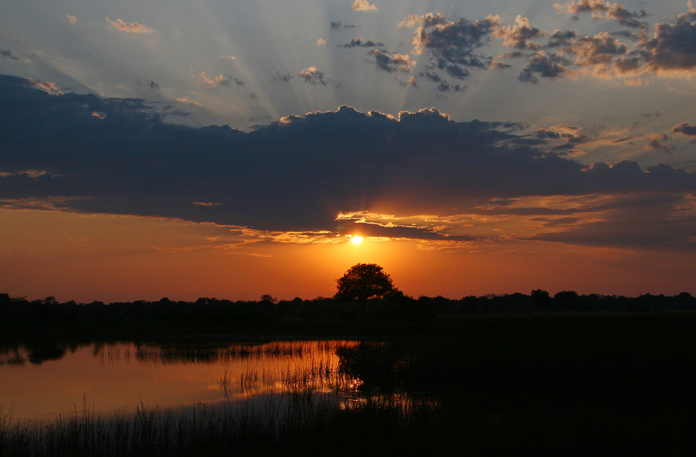Sonnenaufgang ueber dem Delta