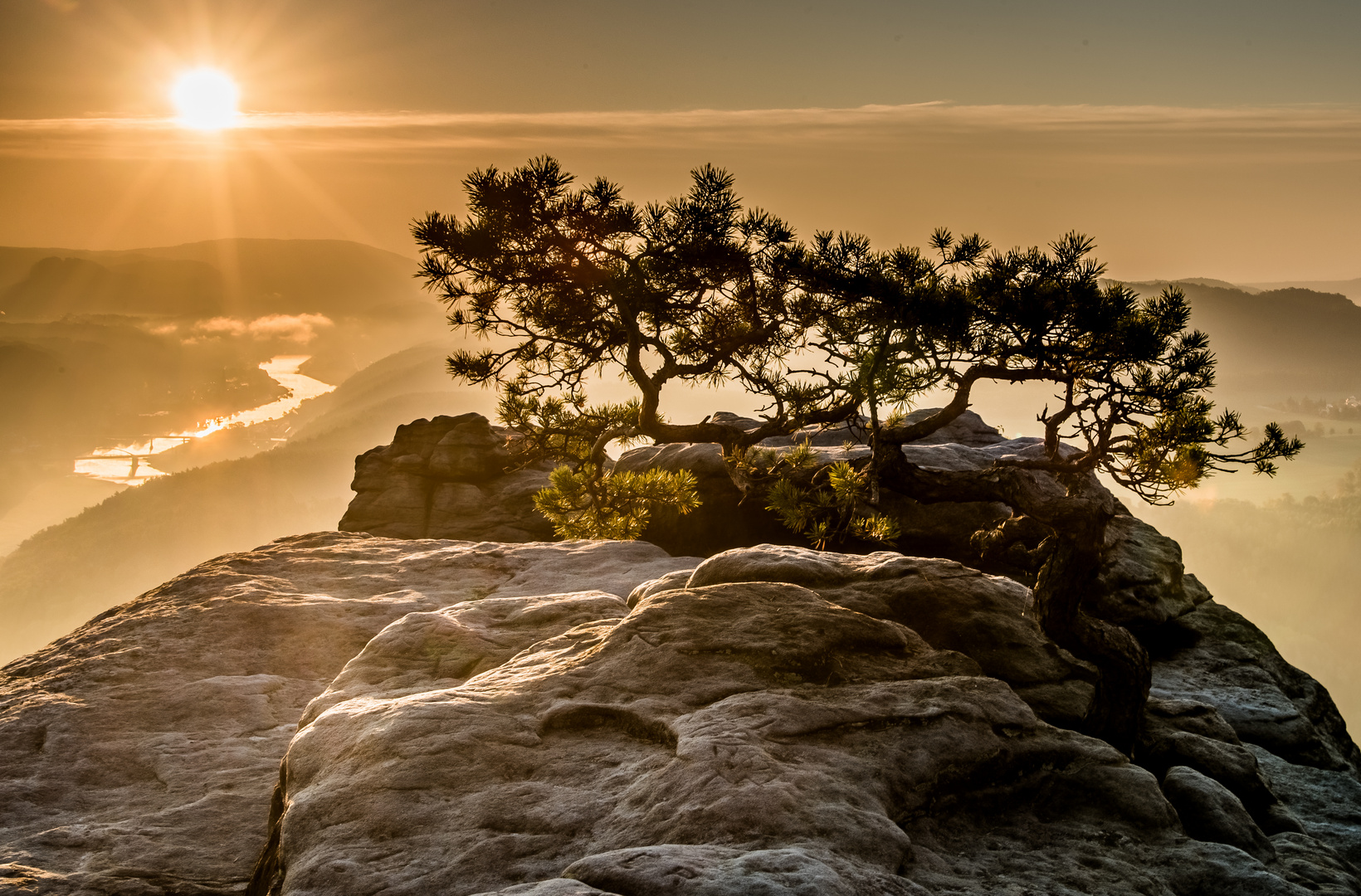 Sonnenaufgang über dem Elbtal