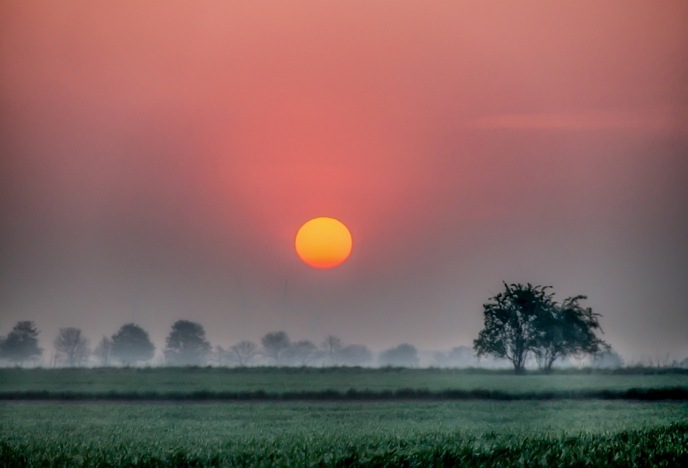 Sonnenaufgang über dem Feld