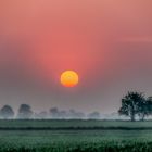 Sonnenaufgang über dem Feld