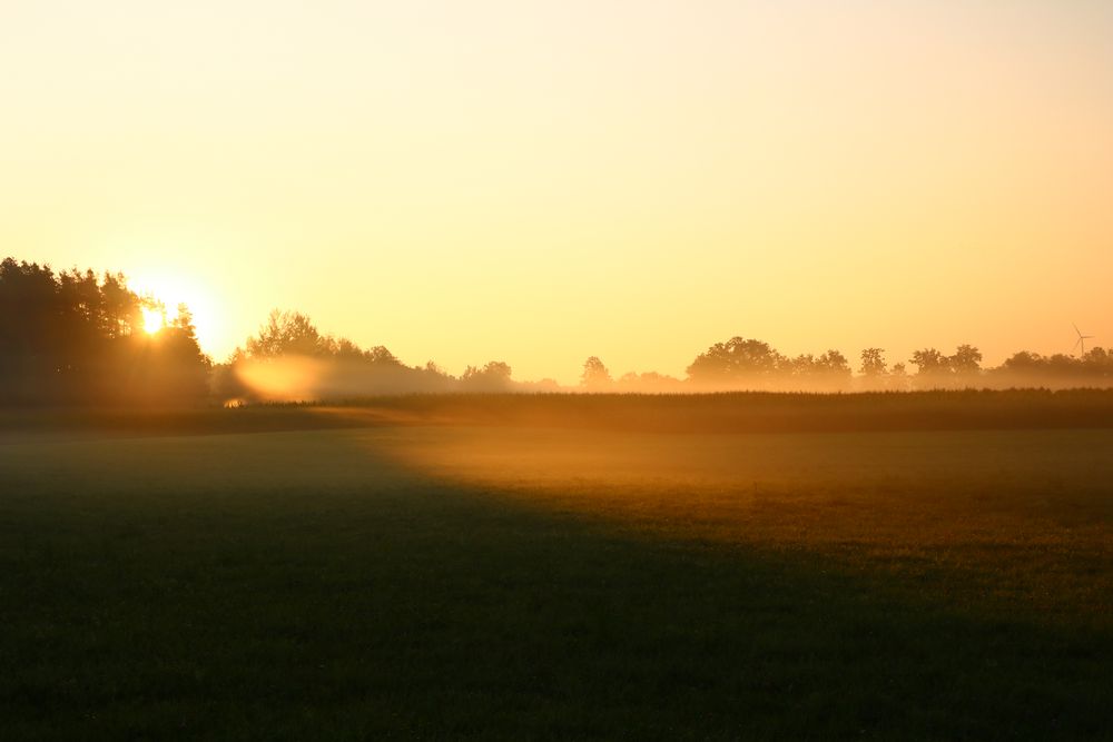 Sonnenaufgang über dem Feld