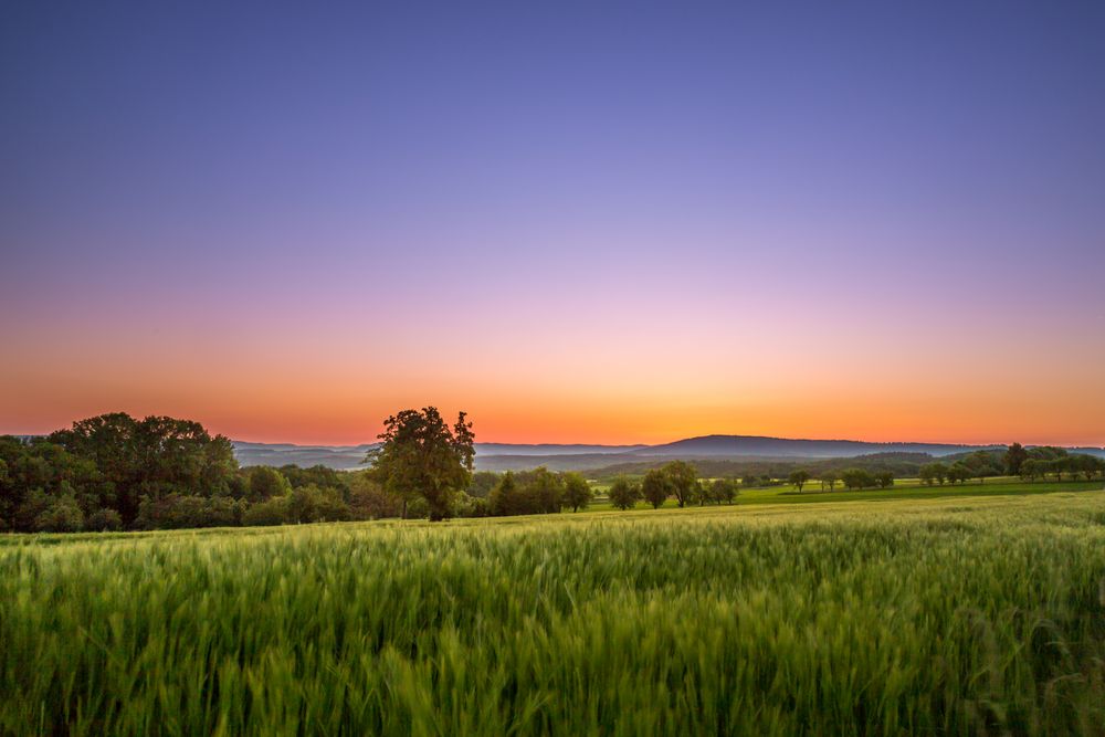 Sonnenaufgang über dem Feld