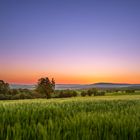 Sonnenaufgang über dem Feld