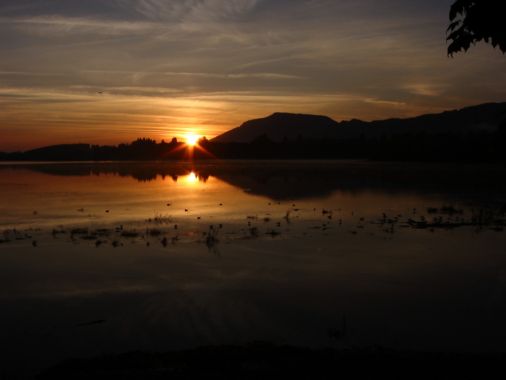 Sonnenaufgang über dem Forggensee