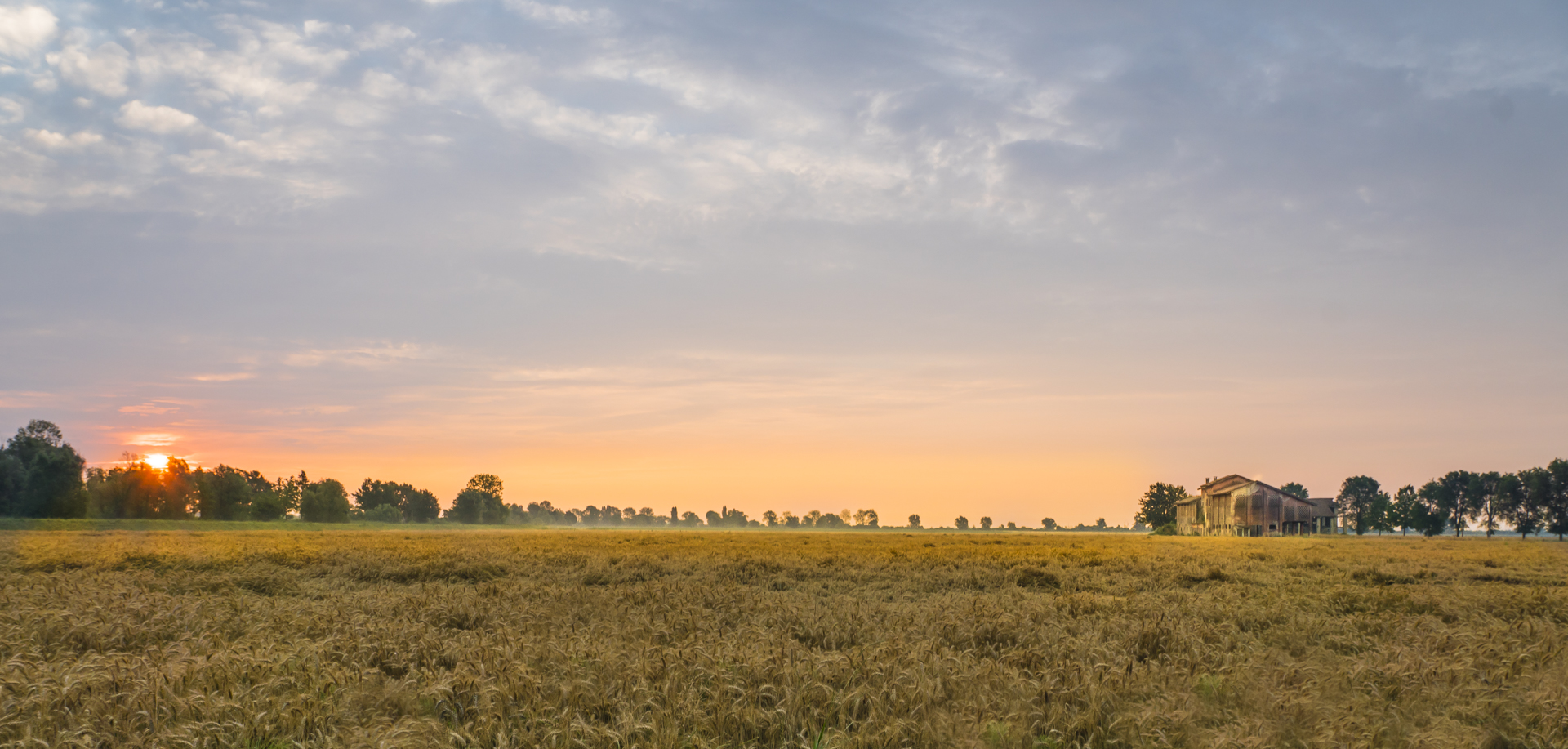 Sonnenaufgang über dem Getreidefeld