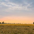 Sonnenaufgang über dem Getreidefeld