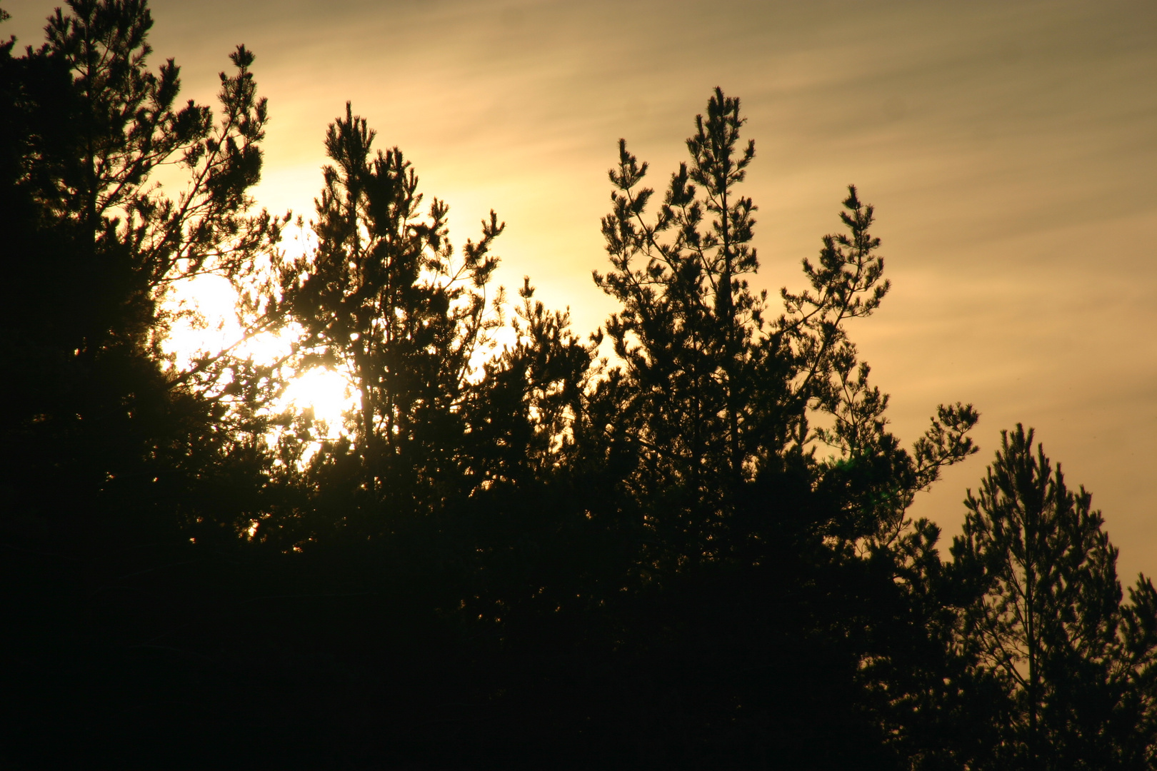 Sonnenaufgang über dem Gottvaterberg