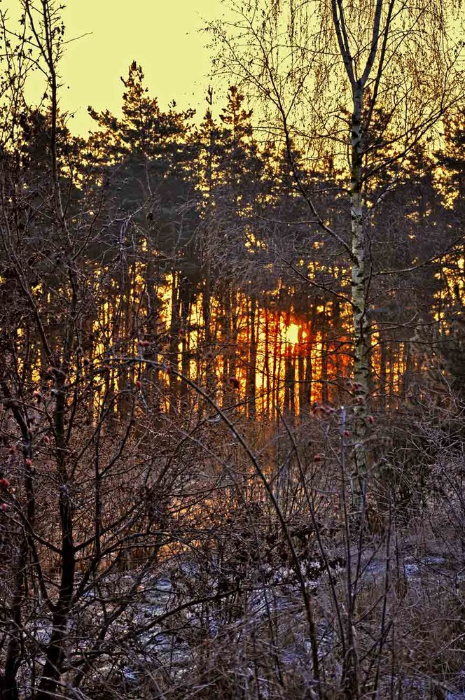 Sonnenaufgang über dem Hainberg