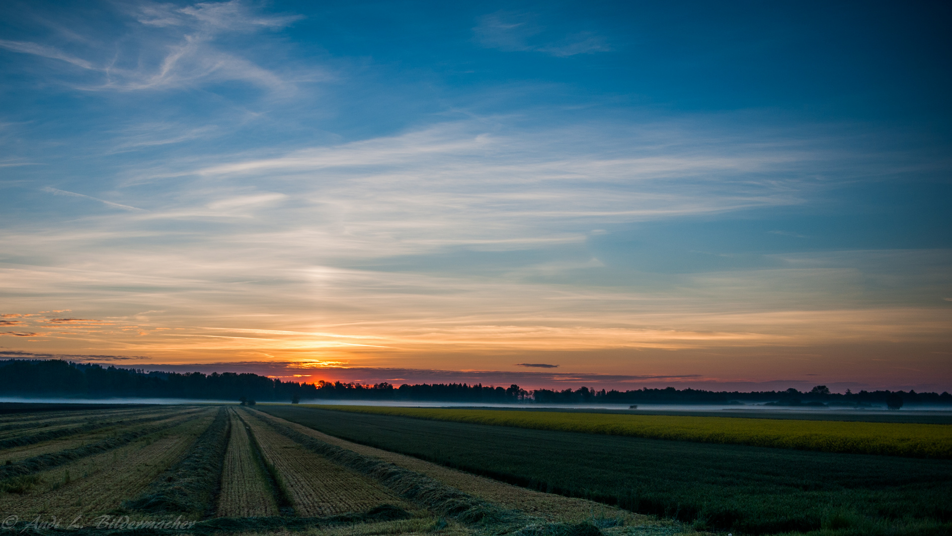 Sonnenaufgang über dem Isarmoos