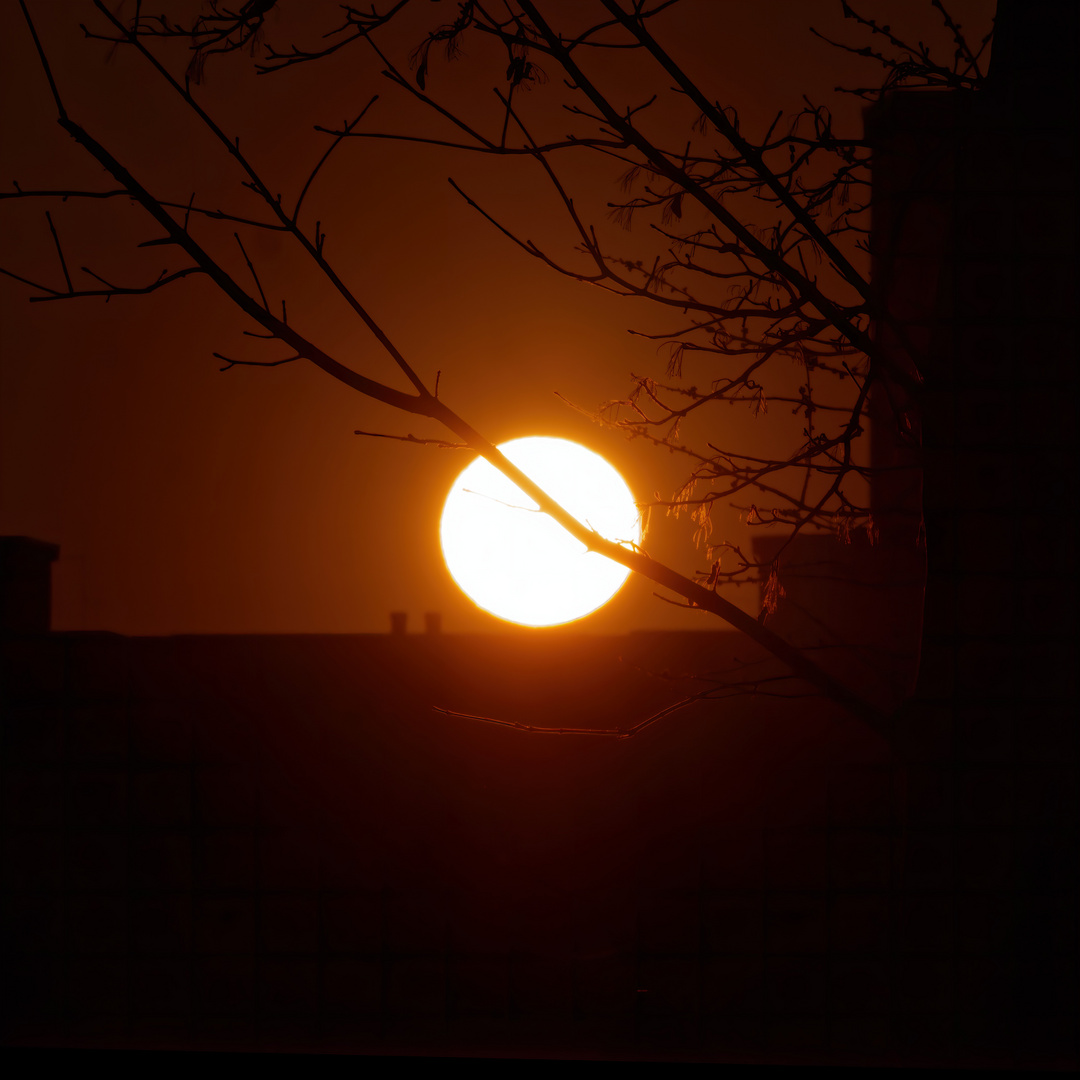 Sonnenaufgang über dem Märkischen Viertel in Berlin