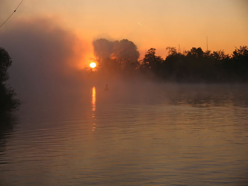 Sonnenaufgang über dem Main