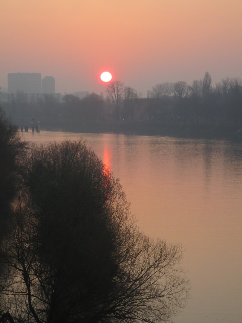 Sonnenaufgang über dem Main