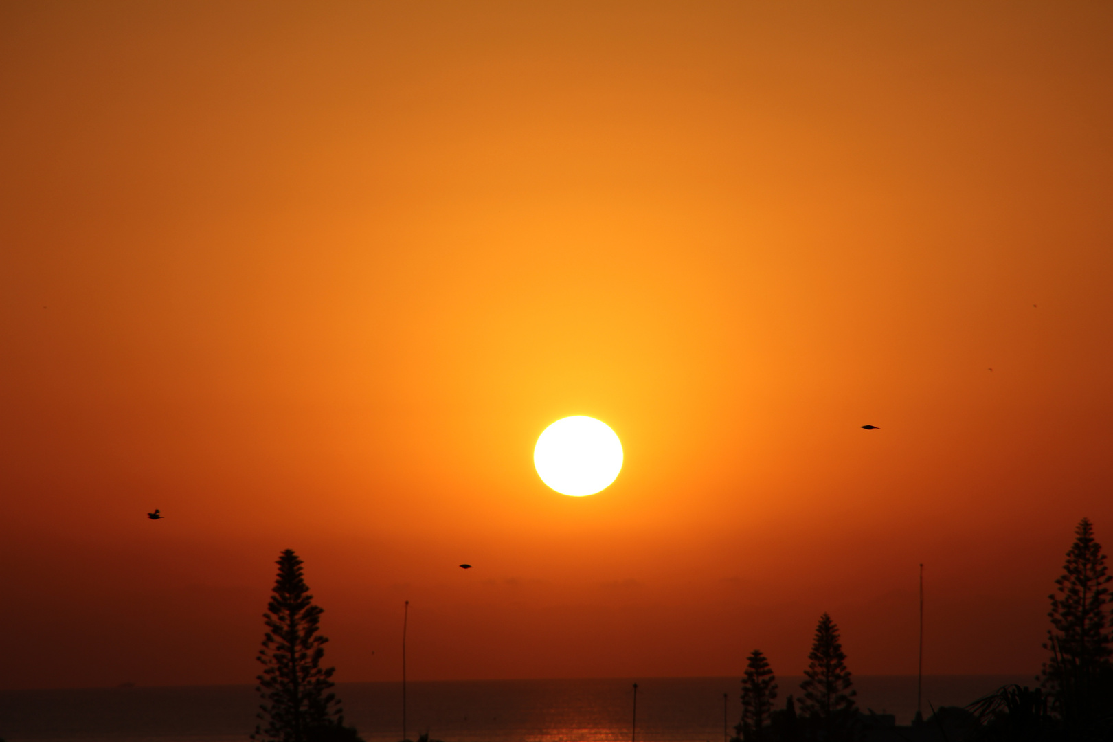 Sonnenaufgang über dem Meer