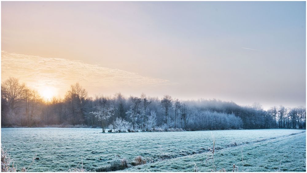 Sonnenaufgang über dem Moor