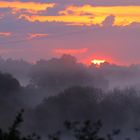 Sonnenaufgang über dem Moor