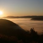 Sonnenaufgang über dem nebligen Pfälzer Wald