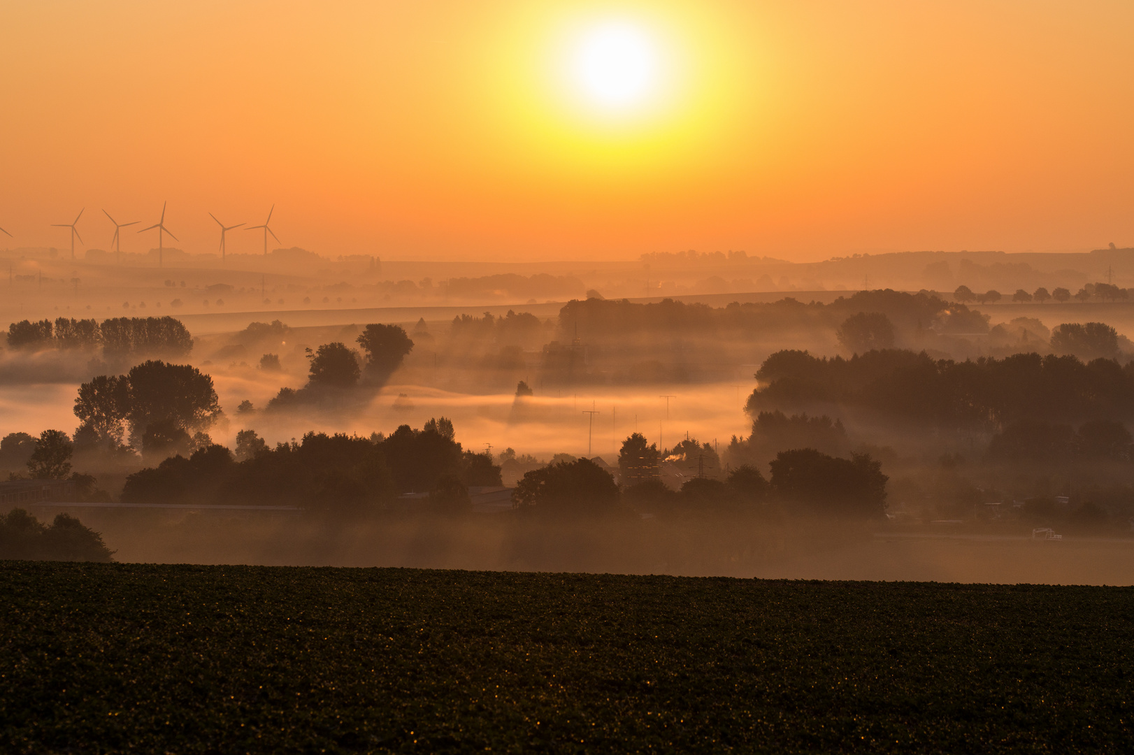 Sonnenaufgang über dem Oderwald