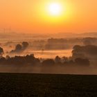 Sonnenaufgang über dem Oderwald