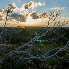 Sonnenaufgang über dem Pirolatal