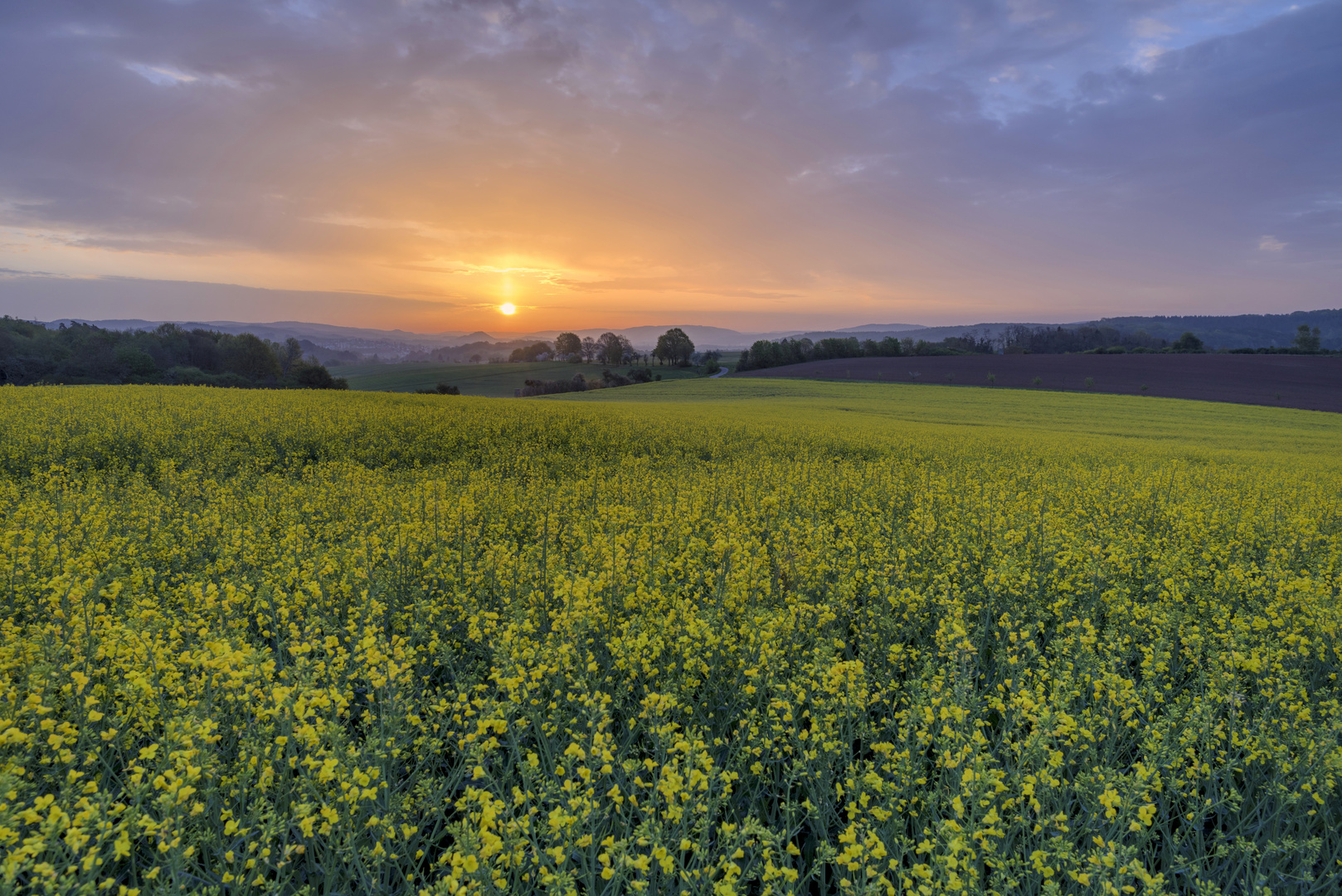 *Sonnenaufgang über dem Rapsfeld*