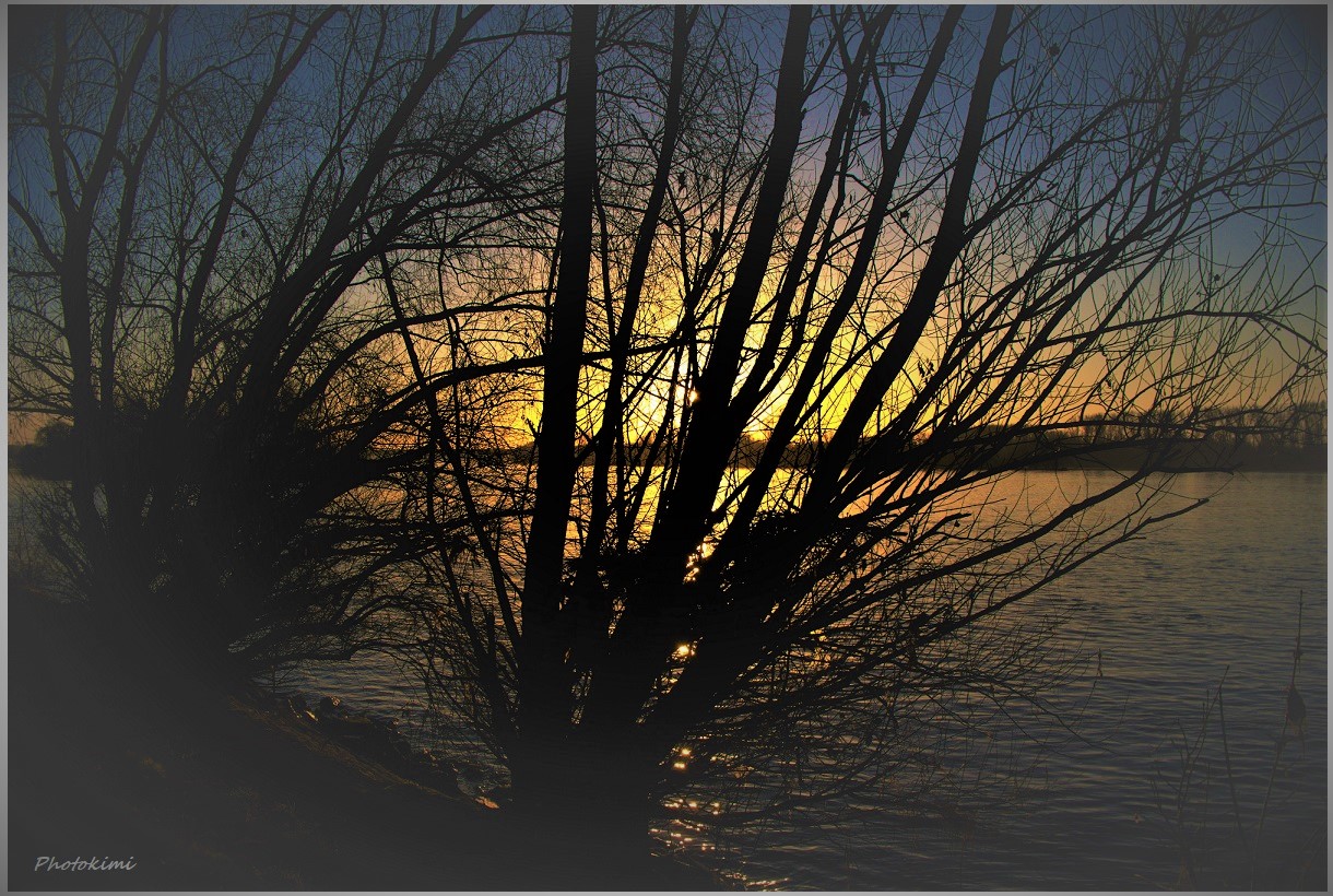 Sonnenaufgang über dem Rhein