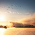 Sonnenaufgang über dem Rhein bei Eltville