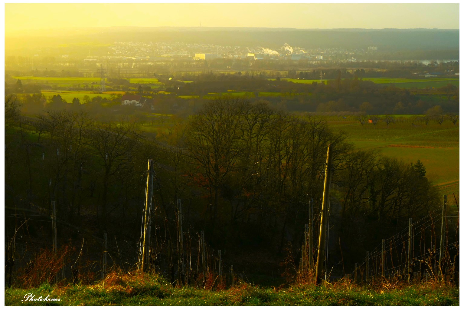 Sonnenaufgang über dem Rheingau (II)