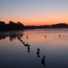 Sonnenaufgang über dem Rothsee