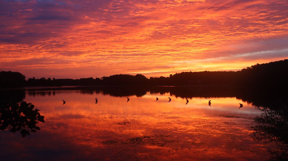 Sonnenaufgang über dem Rothsee