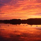 Sonnenaufgang über dem Rothsee