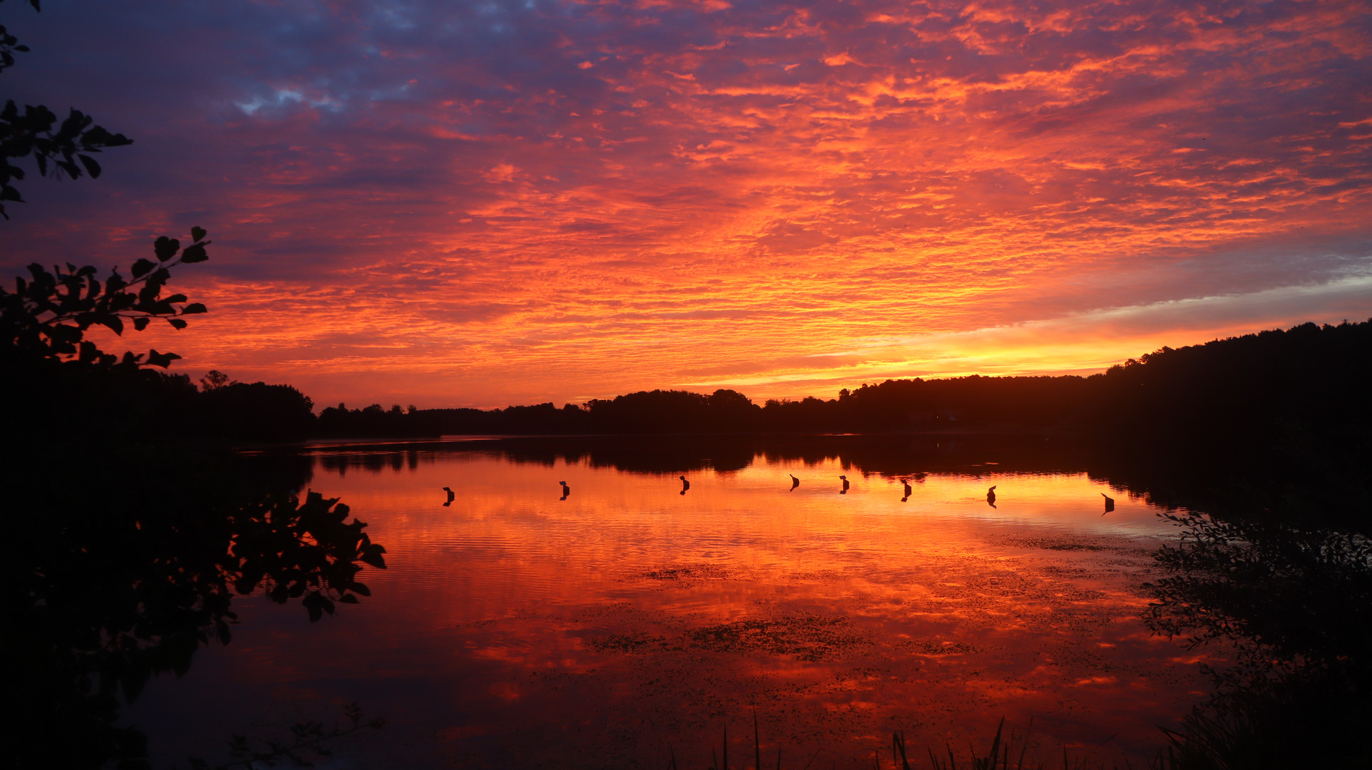 Sonnenaufgang über dem Rothsee