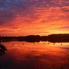 Sonnenaufgang über dem Rothsee