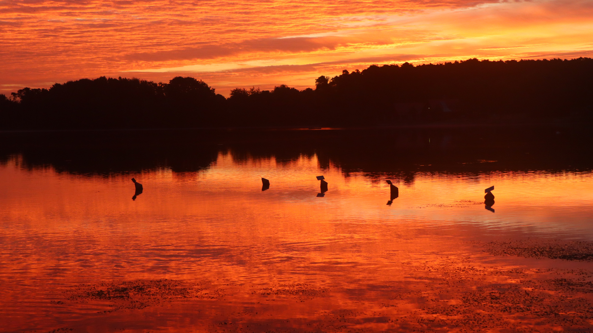 Sonnenaufgang über dem Rothsee