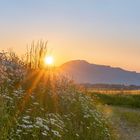 Sonnenaufgang über dem Rupertiwinkel