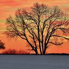 Sonnenaufgang über dem Schneefeld