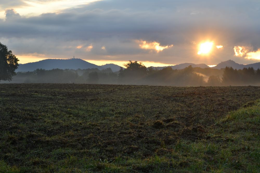 Sonnenaufgang über dem Schwarzwald