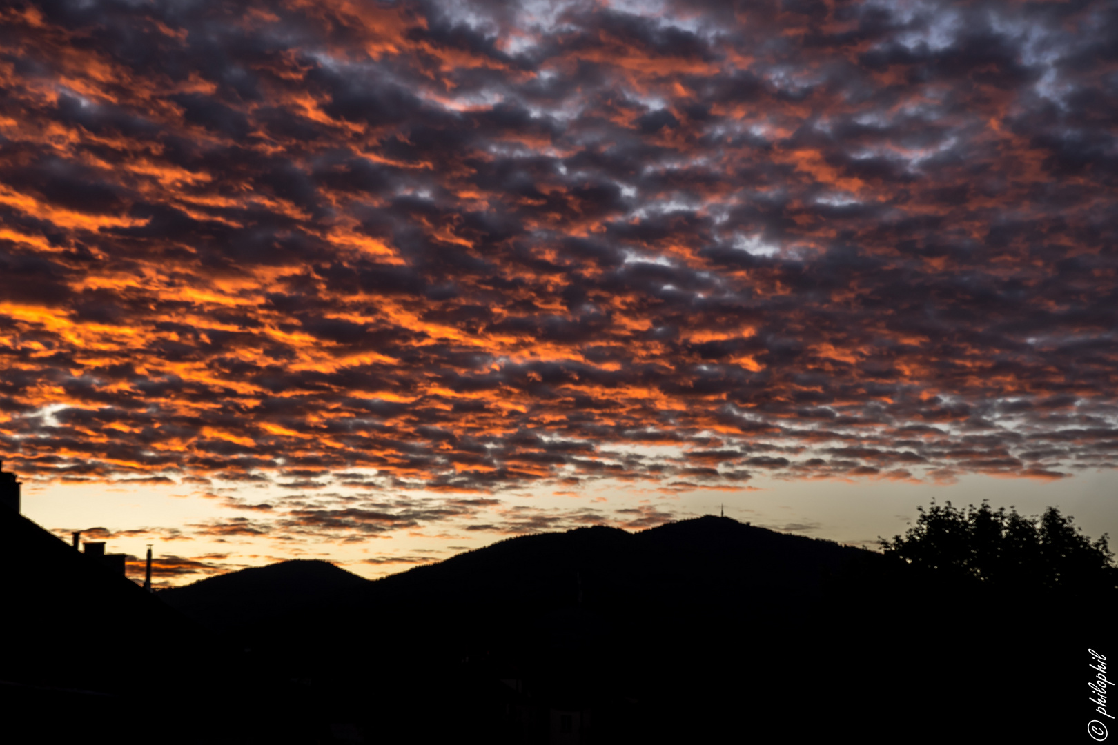 Sonnenaufgang über dem Schwarzwald