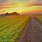 Sonnenaufgang über dem Schwarzwald-Baar-Kreis