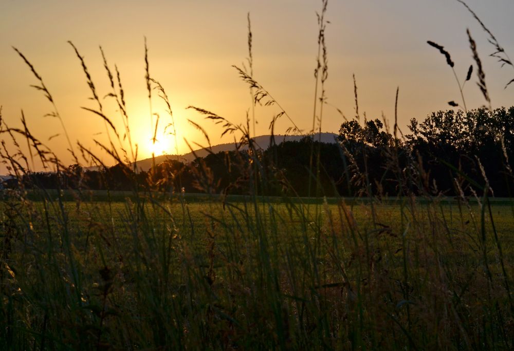 Sonnenaufgang über dem Schwarzwald/Fremersberg