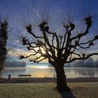 Sonnenaufgang über dem Sempachersee