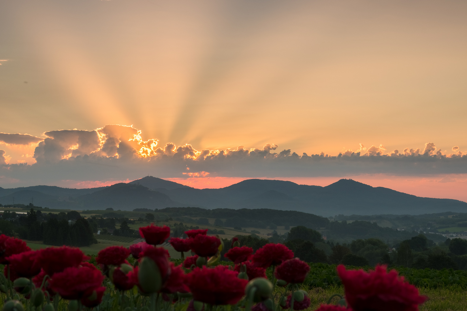 Sonnenaufgang über dem Siebengebirge