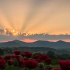 Sonnenaufgang über dem Siebengebirge