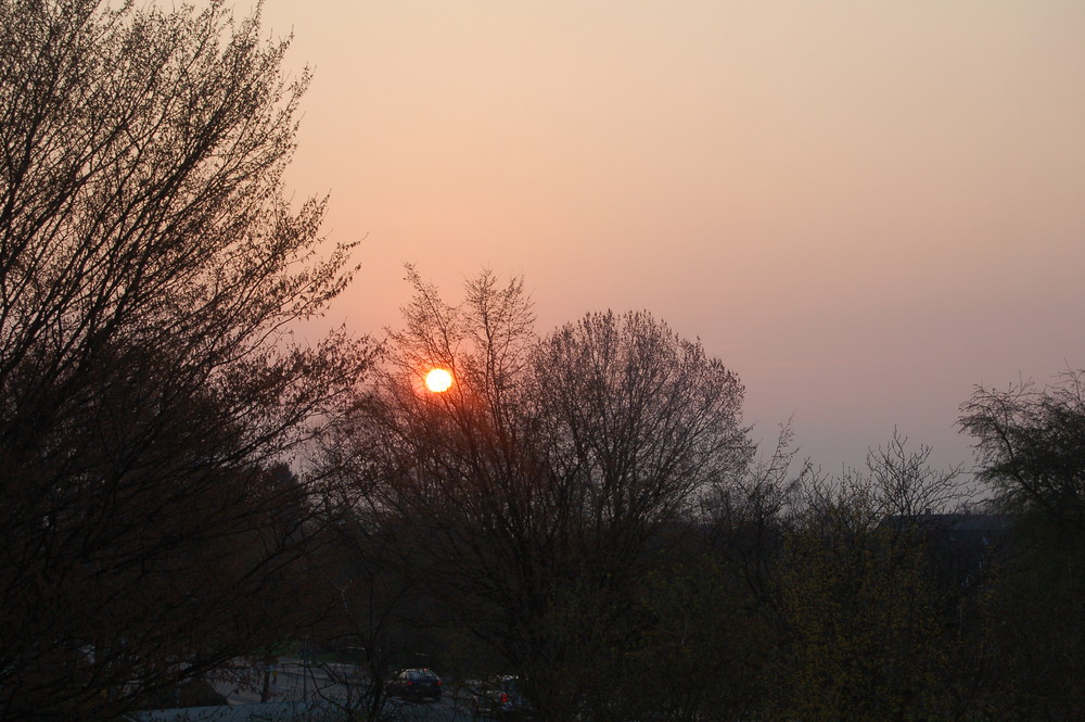 Sonnenaufgang über dem Stadtpark von Wilhelmshaven